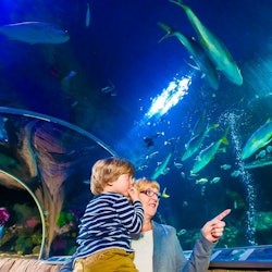 SEA LIFE Munich: Entry Ticket - 3