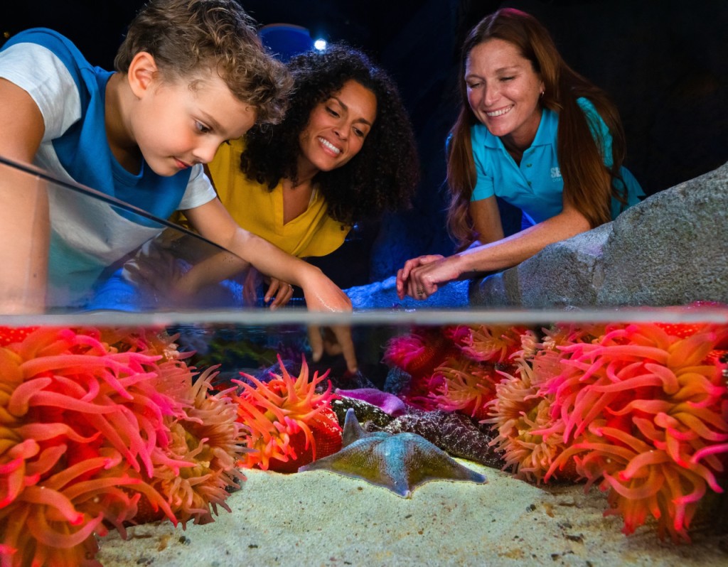 奥兰多海洋生物水族馆门票 (奥兰多海洋生物水族馆 - 标准票 + 数字照片通行证) - 2