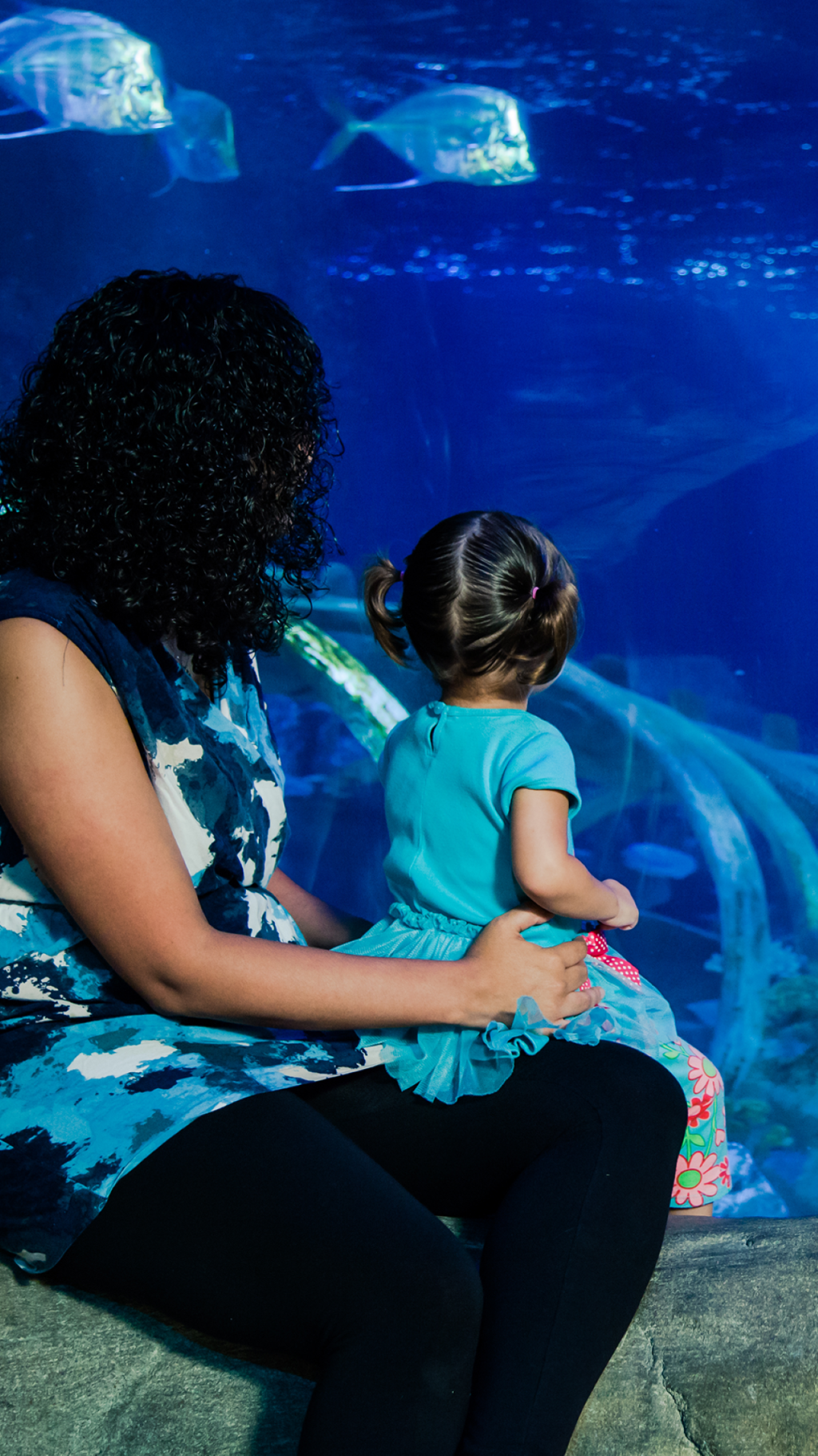 SEA LIFE Paris Aquarium Ticket (SEA LIFE Paris Aquarium - Admission) - 3