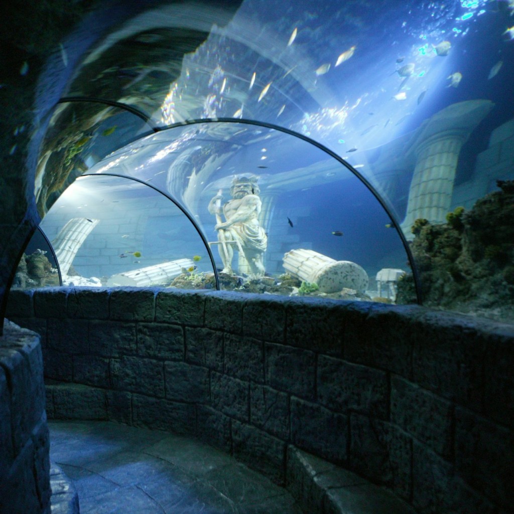 SEA LIFE Porto: 연간 이용권 - 3