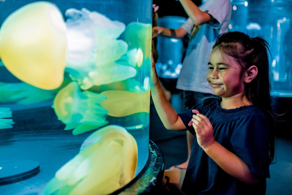 Entrada directa a Sydney Tower Eye (Sydney Multi-Attraction Pass - Tres atracciones (incluye SEA LIFE Sydney Aquarium)) - 1