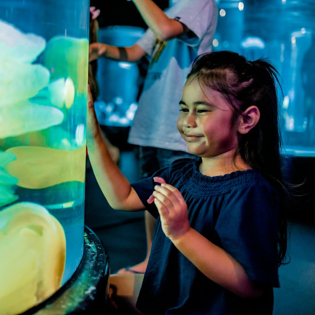 SEA LIFE Sydney Aquarium : Billet d'entrée - Morning - 1