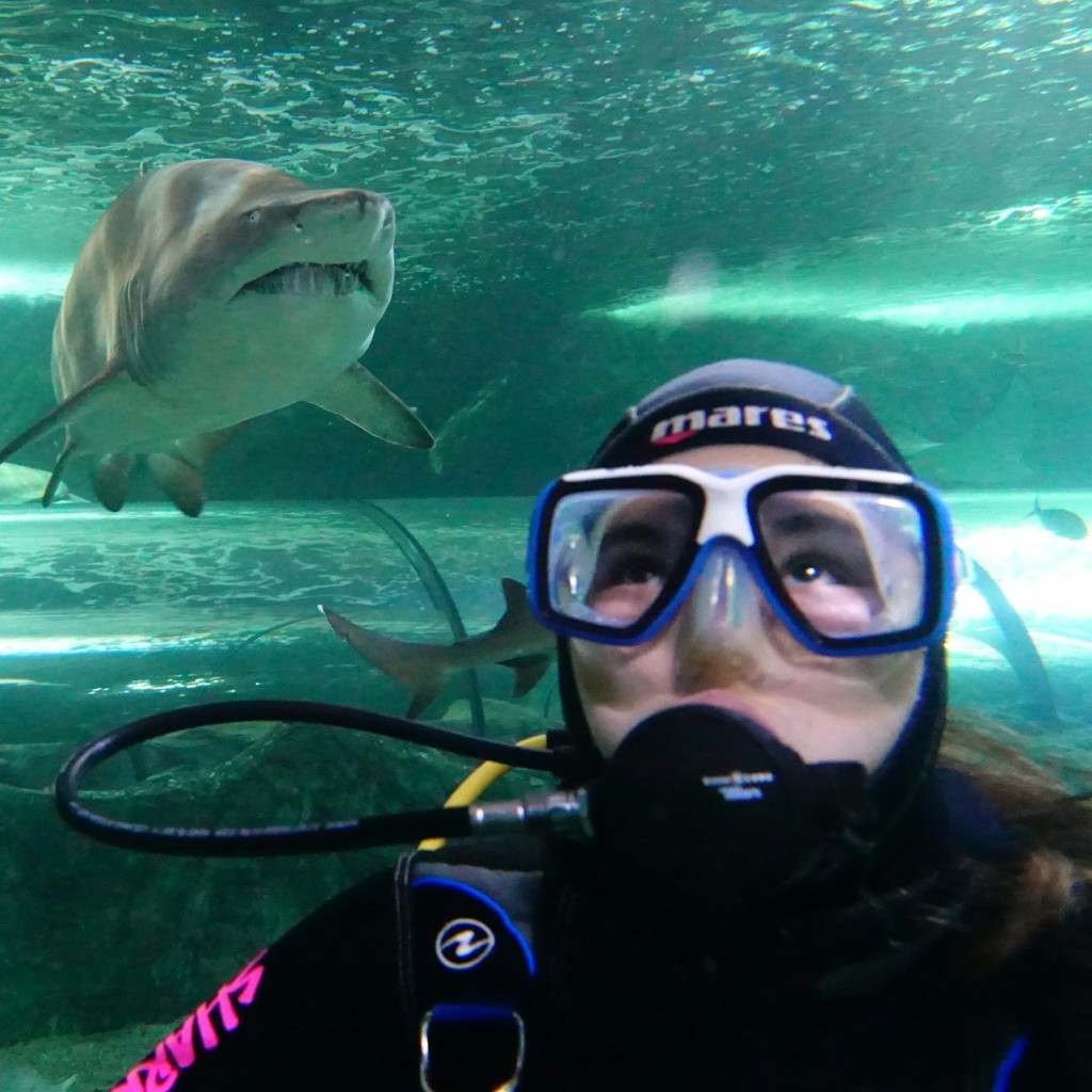 SEA LIFE Sydney Aquarium: Hai-Tauchgang Xtreme - 2