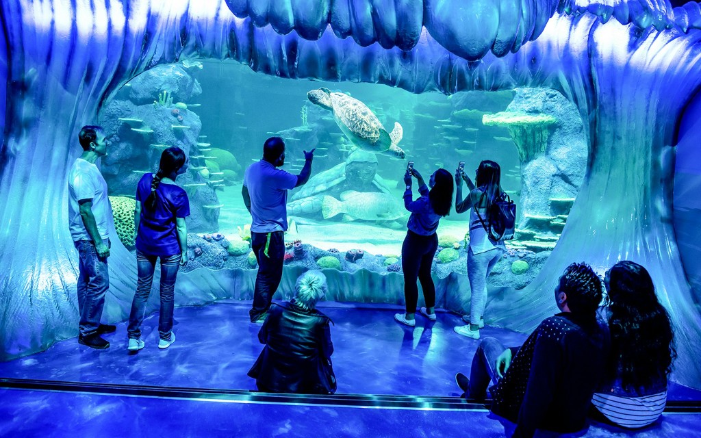 SEA LIFE Sydney Aquarium Tickets (3 Attractions Pass) - 1