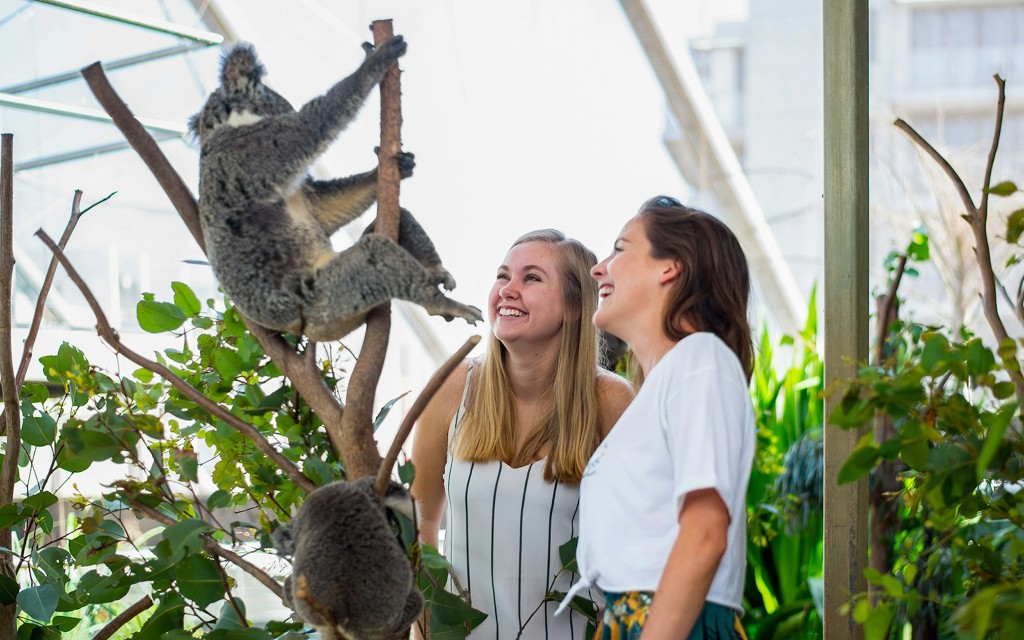 Biglietti per l'acquario SEA LIFE Sydney (4 Attractions Pass) - 3