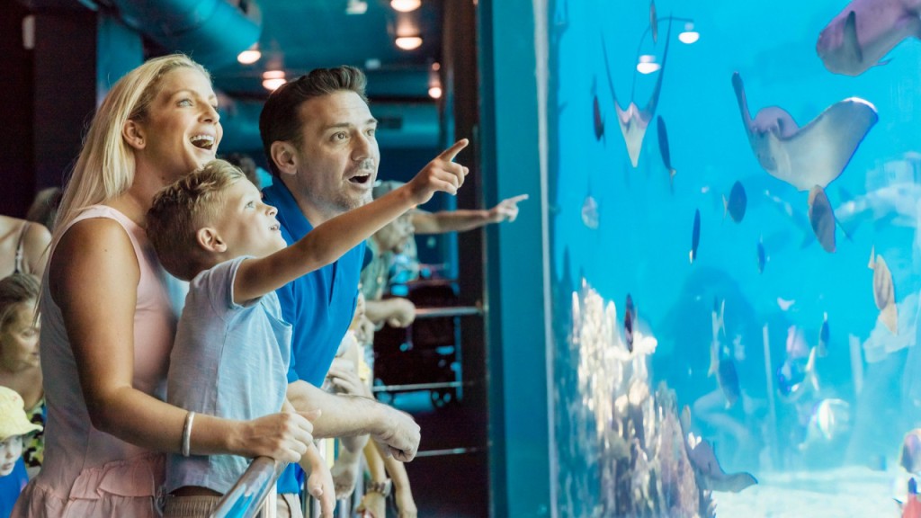 Sea World Gold Coast Ticket (Sea World Gold Coast - Single Day Pass (International Travellers)) - 2