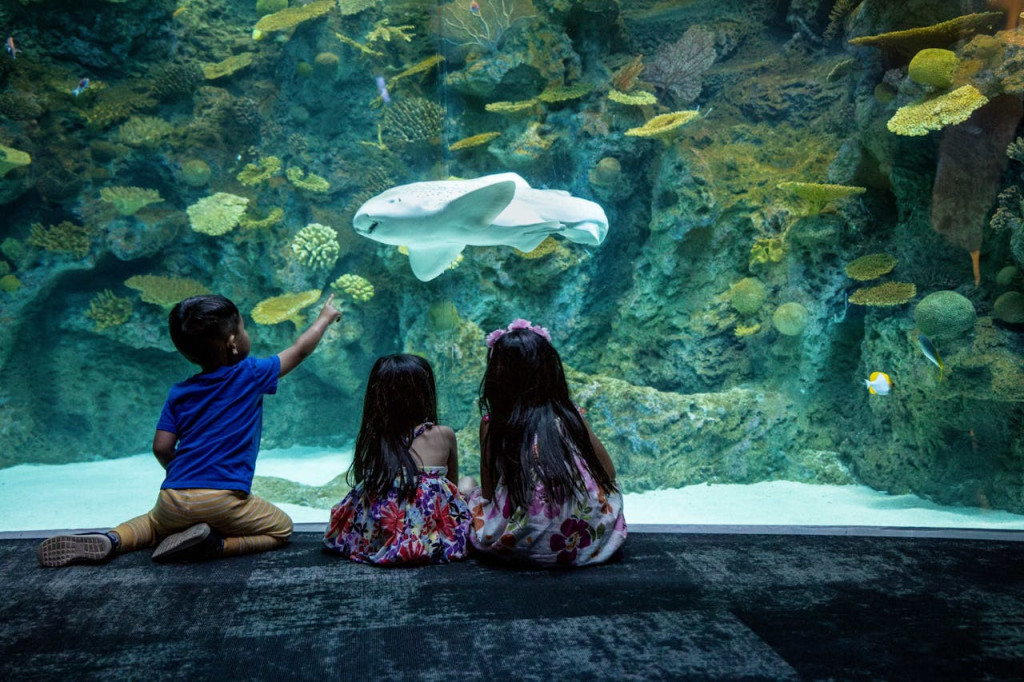 Seattle Aquarium Ticket (Admission) - 2
