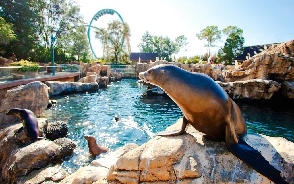 SeaWorld Orlando Tickets für einen beliebigen Tag (SeaWorld Orlando 2-Park Tickets) - 1