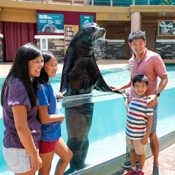 SeaWorld Orlando: Entry Ticket with Optional Quick Queue - 1