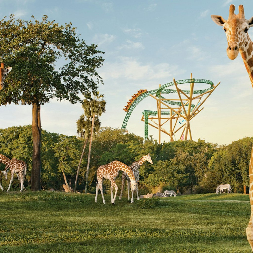 SeaWorld Orlando: abonament multiparc + menjar gratuït durant tot el dia - Pick 2 Parks - 1