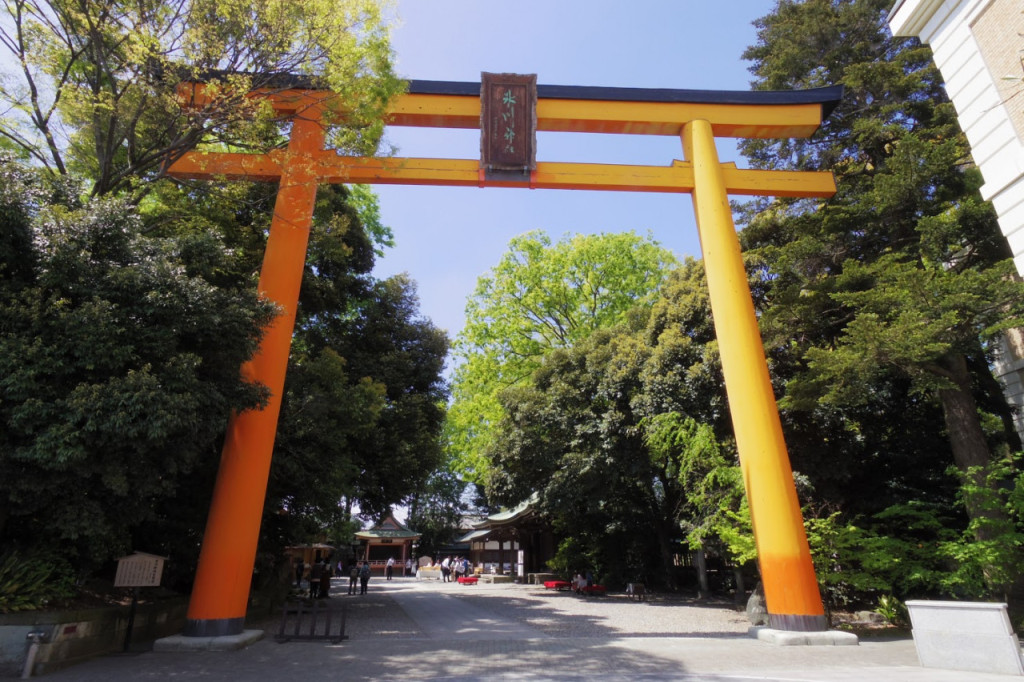 Seibu Kawagoe Pass - 2