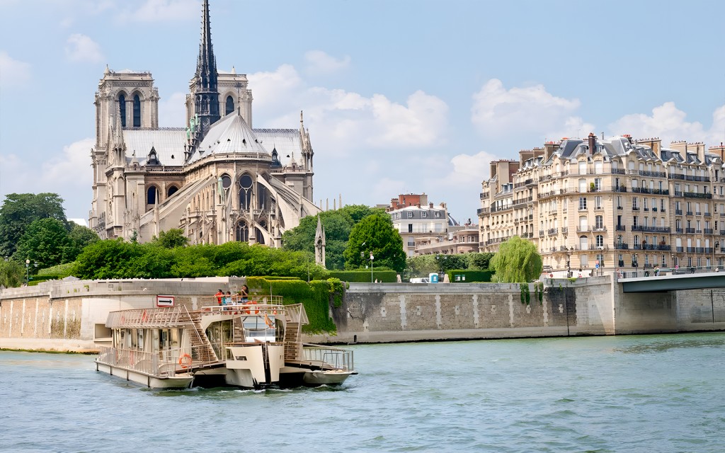 Seine River 1-Hour Sightseeing Cruise from the Eiffel Tower (Cruise with Macaron Tasting or Meringue) - 1