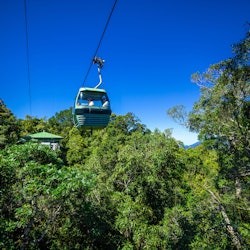 Esperienza Kuranda in auto: Skyrail Rainforest Cableway & Scenic Rail - 1