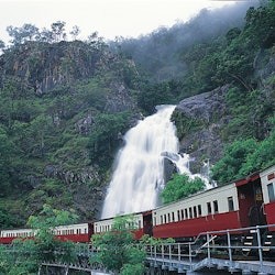 Esperienza Kuranda in auto: Skyrail Rainforest Cableway & Scenic Rail - 2