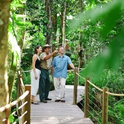 Esperienza Kuranda in auto: Skyrail Rainforest Cableway & Scenic Rail - 3