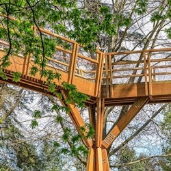 Fondazione Serralves: Biglietto d'ingresso ad accesso libero - 2