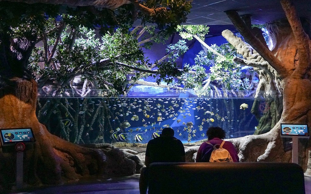Aquarium Sevilla-Tickets (Entry tickets + 48-Hour HOHO Pass) - 2