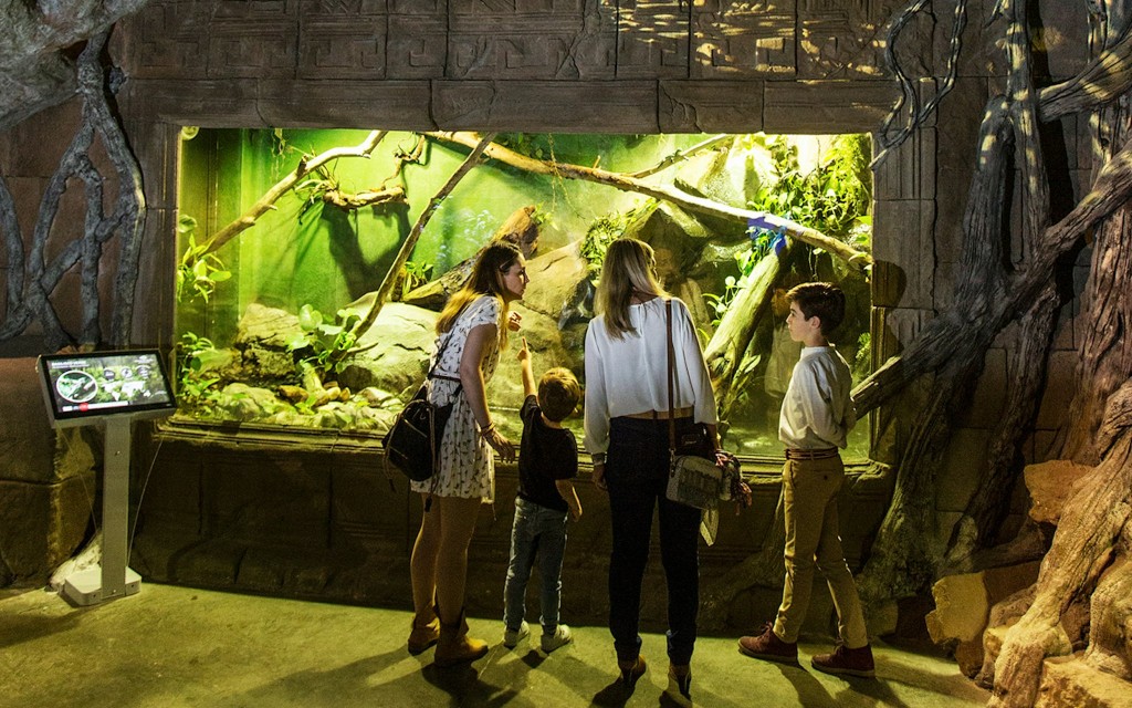 Aquarium Sevilla-Tickets (Entry tickets + 48-Hour HOHO Pass) - 3