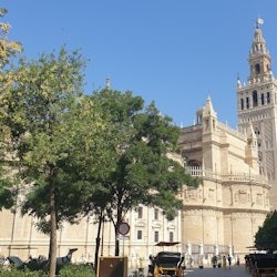 Seville Cathedral: Entry Ticket + Guided Tour - 2