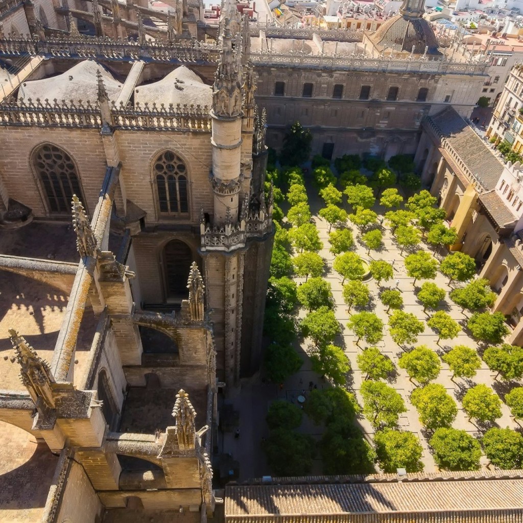 Cathédrale de Séville & La Giralda : Billet d'entrée + Visite guidée - 1