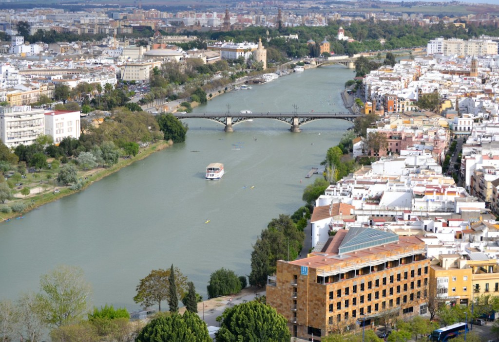 Seville: Sightseeing Cruise from Torre Del Oro (Sightseeing Cruise from Torre Del Oro (1 Hour)) - 1