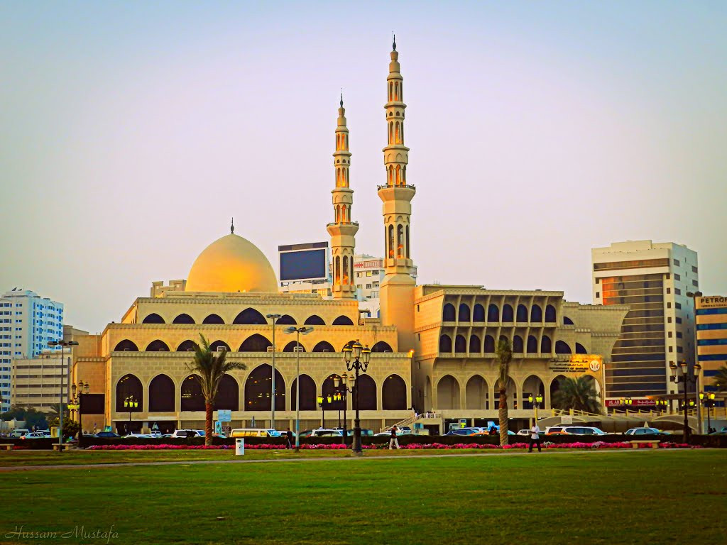 Sharjah City Tour from Dubai (Sharjah City Tour from Dubai - Half day) - 2