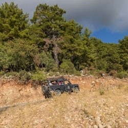 Lateral: Excursió de dia complet en safari en jeep + Dinar - 3