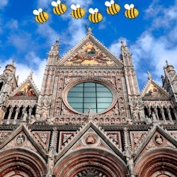 Siena y San Gimignano: Excursión de un día desde Florencia + Degustación de comida y vino - 2