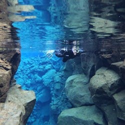 Silfra: Guided Snorkeling Adventure from Reykjavik - 3