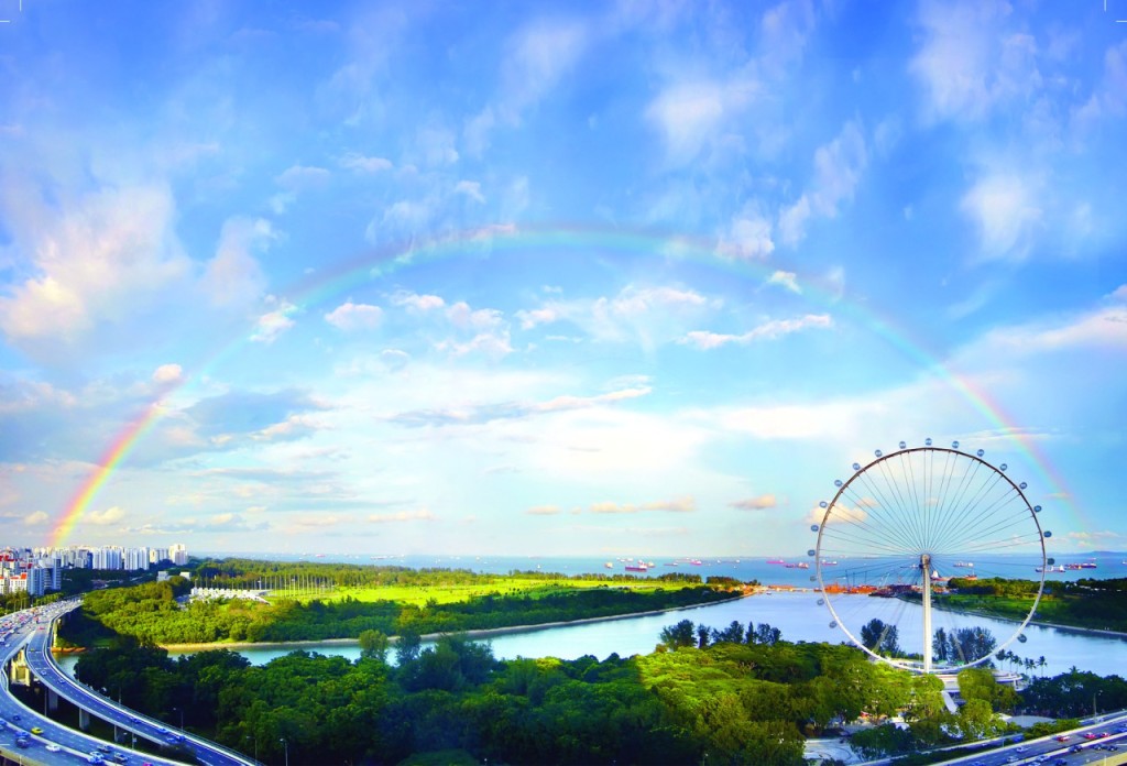 Singapore Flyer Ticket - 1