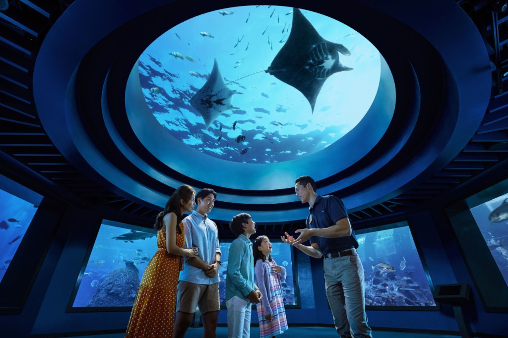 Dolphin Experiences at Marine Mammal Habitat Sentosa (Dolphin Connection + Singapore Oceanarium Ticket) - 3
