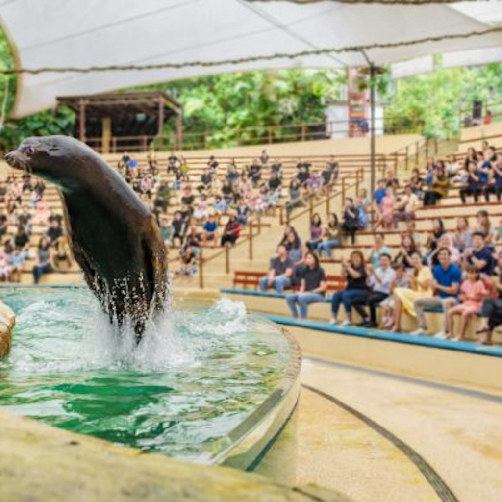 Zoo de Singapur: Tiquet d'entrada - 1