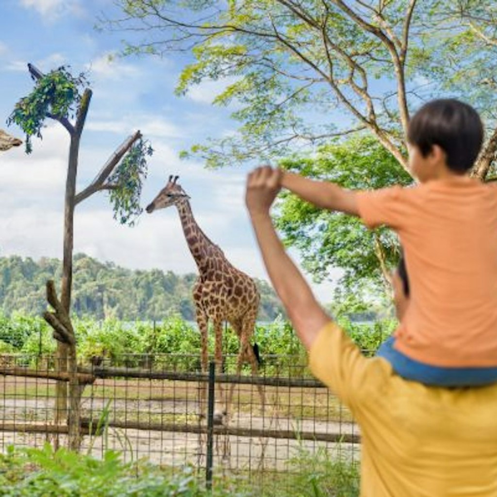 Zoo de Singapur: Tiquet d'entrada - 3