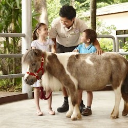 Zoo w Singapurze: Bilet wstępu + Odbiór z hotelu - 2