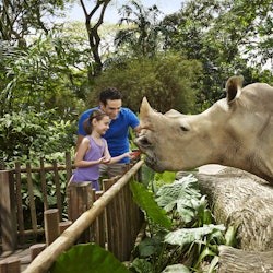Zoo w Singapurze: Bilet wstępu + Odbiór z hotelu - 3