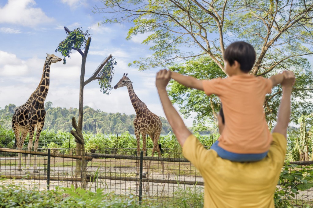 Singapore Zoo Ticket (COMBO: Singapore Zoo - Admission with Tram Rides (International Travellers) + Breakfast in the Wild) - 2