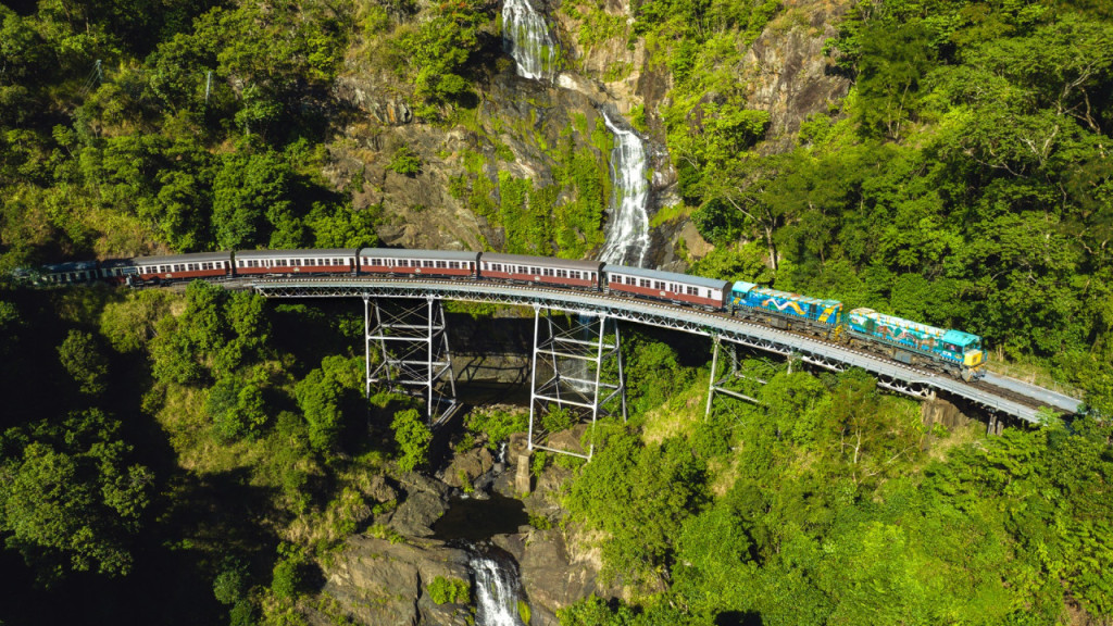 Skyrail Rainforest Cableway with Optional Kuranda Scenic Train Ticket and Hotel Pick-Up (One-Way Skyrail from Smithfield to Kuranda) - 3