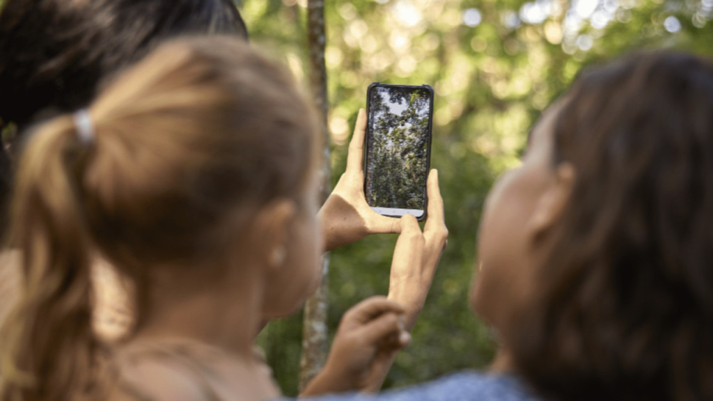 Skyrail Rainforest Cableway with Optional Kuranda Scenic Train Ticket and Hotel Pick-Up (Pick-up from Cairns + One-Way Skyrail from Smithfield to Kuranda + One-way Kuranda Scenic Railway to Cairns Central Railway Station (2:00 PM)) - 1