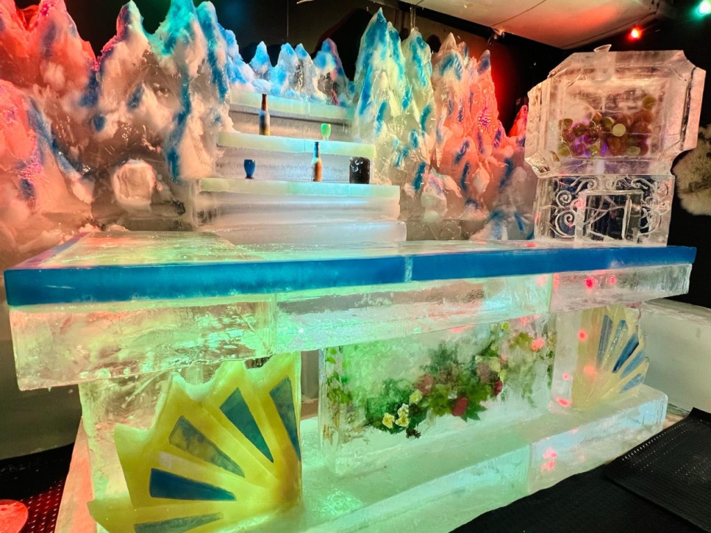 Entrada para Snow City Singapore (Snow City Singapore - Diversión en la nieve por una hora + un viaje en Bumper Car) - 3