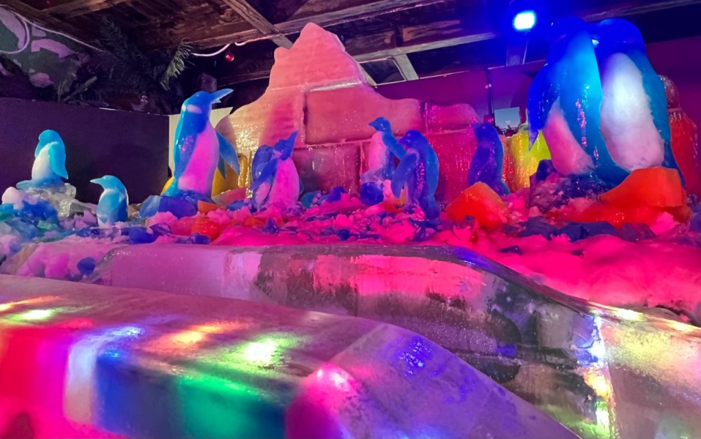 Snow City Singapore Ticket (Snow City Singapore - Snow Play Two Hours) - 2