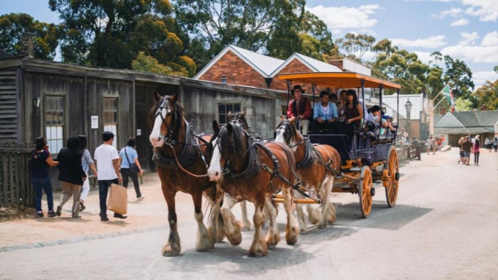 Entrada a Sovereign Hill (Entrada nocturna para Winter Wonderlights (20:00 a 22:00)) - 1