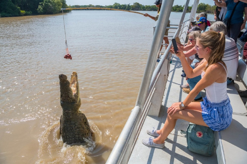 Spectacular Jumping Crocodile Cruise - 1