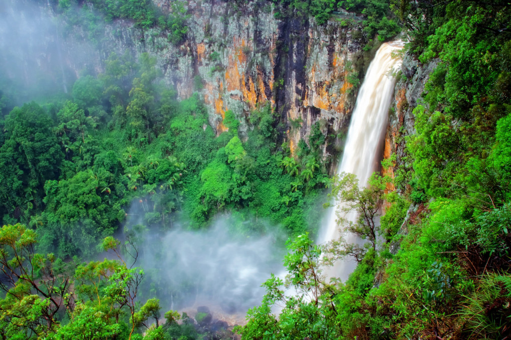 Springbrook National Park Tour: Natural Bridge and Waterfalls - 1