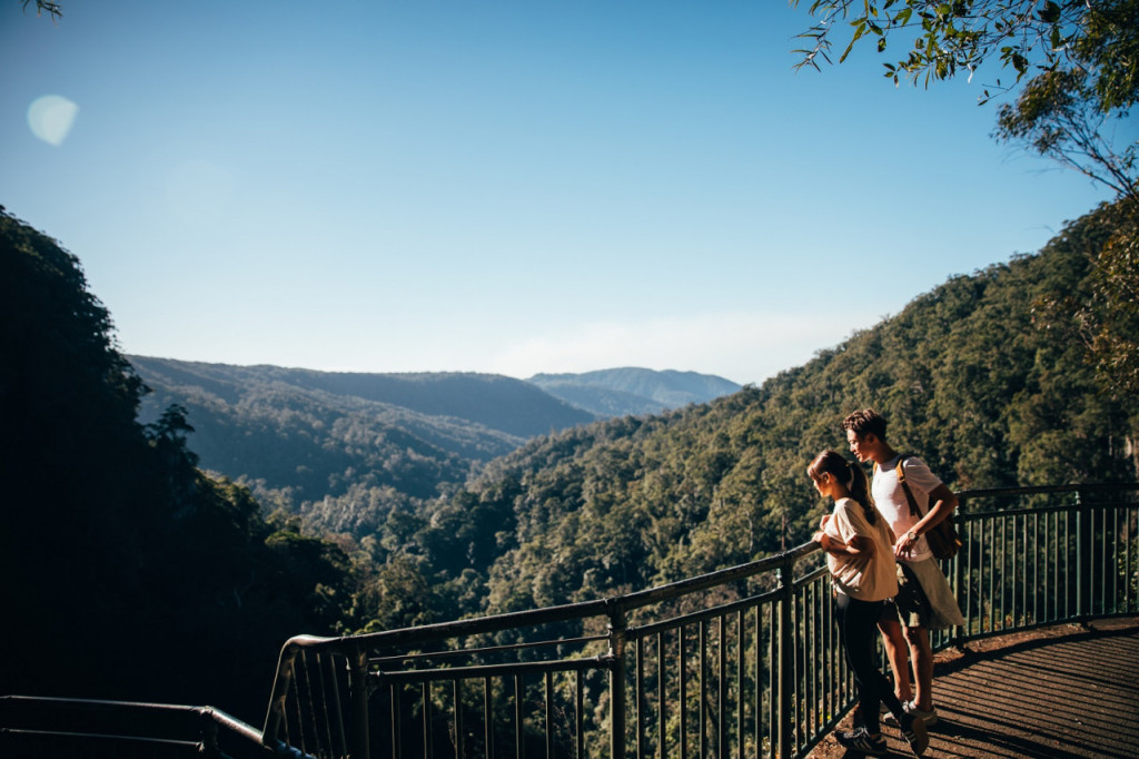 Springbrook National Park Tour: Natural Bridge and Waterfalls - 3