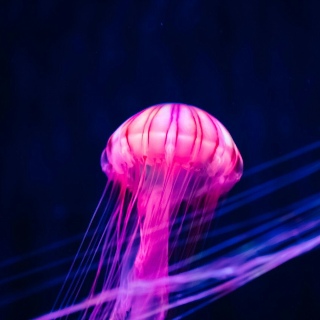 Sumida-Aquarium: Eintrittskarte - 1
