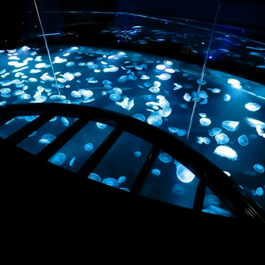 Sumida-Aquarium: Eintrittskarte - 2