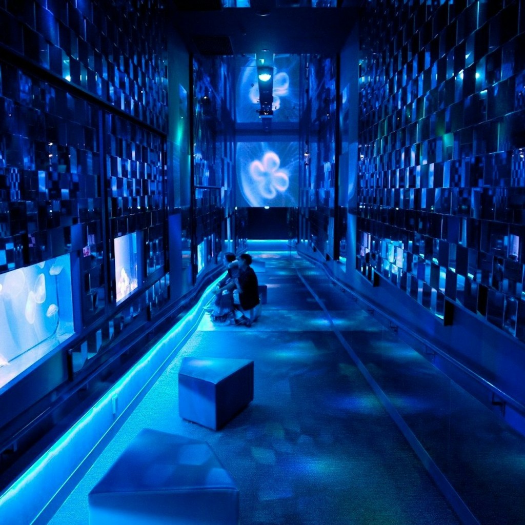 Sumida-Aquarium: Eintrittskarte - 3