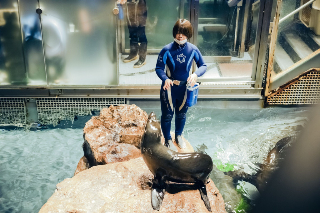 Sumida Aquarium Ticket (Sumida Aquarium - Admission (Peak)) - 3