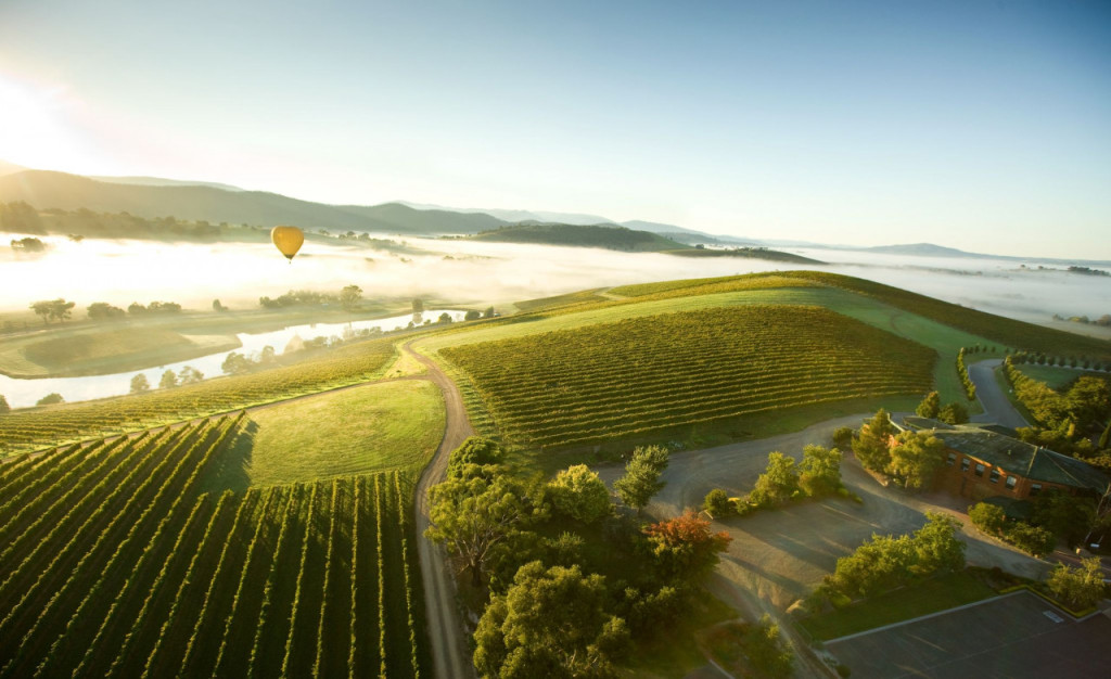 Sunrise Hot Air Balloon Flight over Yarra Valley with Photos (Sunrise Hot Air Balloon Flight + Buffet Breakfast + FREE Photos) - 3
