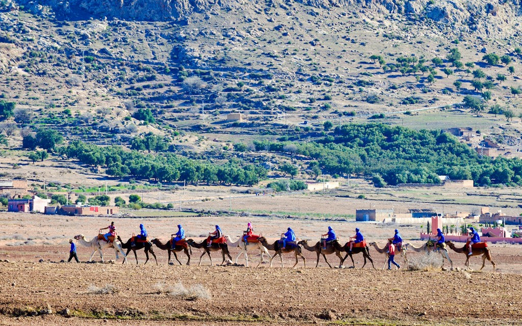 Wycieczka po pustyni o zachodzie słońca z przejażdżką na wielbłądzie, kolacją i transferem (Camel Ride + Dinner Show) - 1